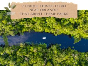 7 Unique Things to Do Near Orlando That Aren't Theme Parks