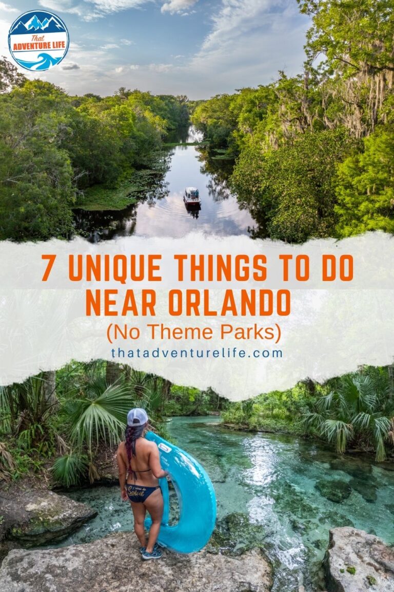 7 Unique Things to Do Near Orlando That Aren't Theme Parks Pin 2