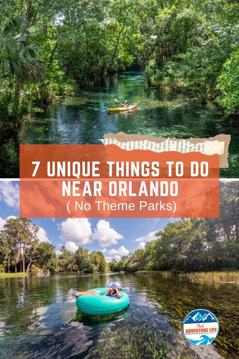 7 Unique Things to Do Near Orlando That Aren't Theme Parks Pin 1