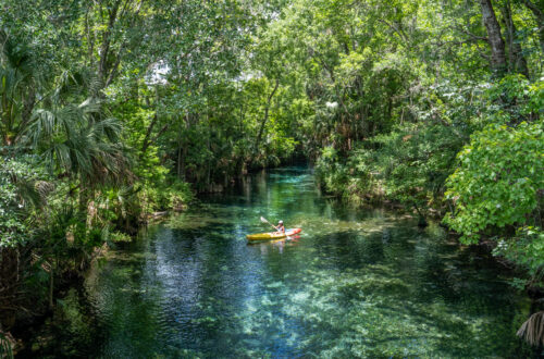 Most Beautiful Kayaking Spot in Florida: Silver Springs State Park