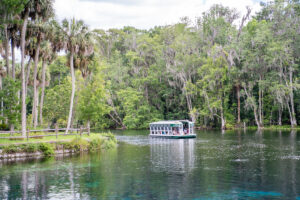 How to Spend Your Day at Silver Springs State Park | Florida