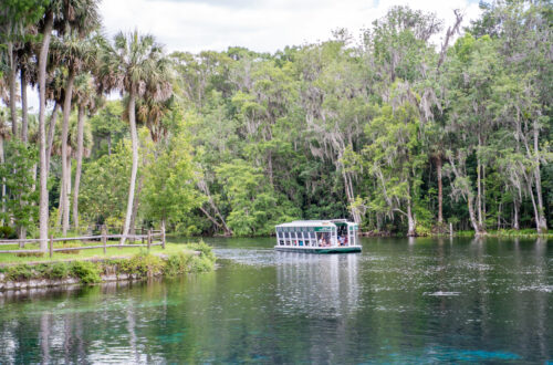 How to Spend Your Day at Silver Springs State Park | Florida