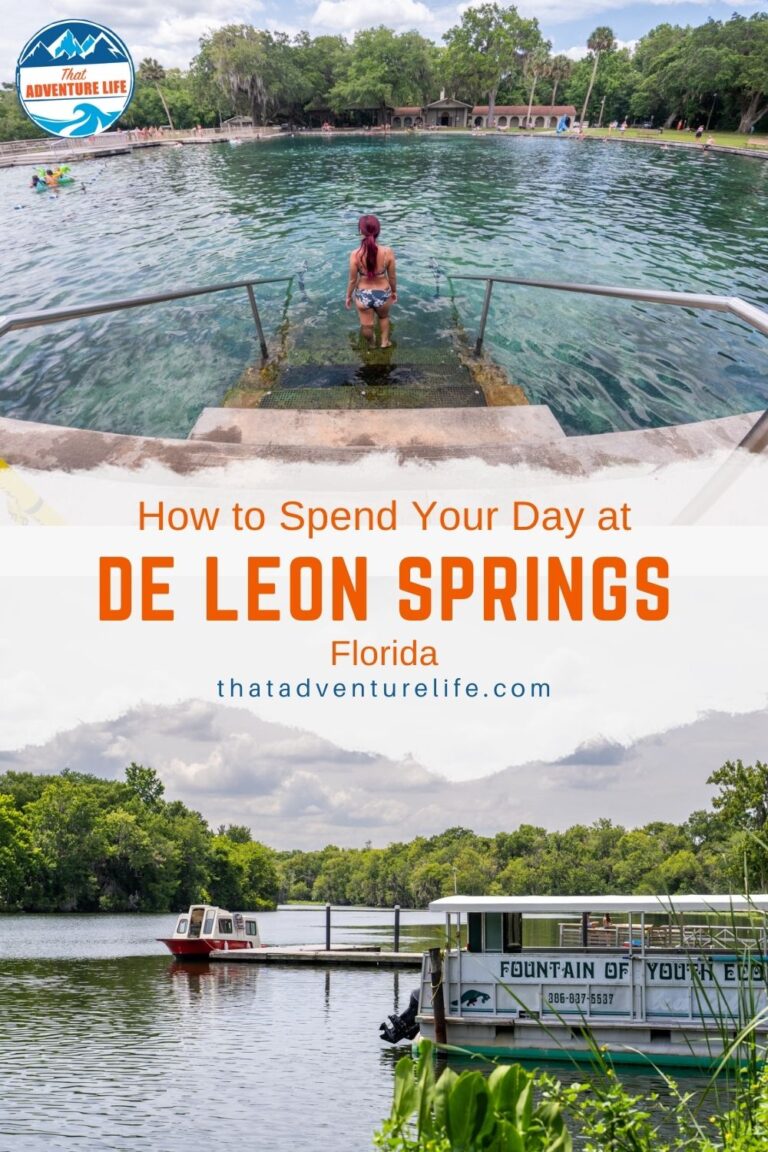 How to Spend Your Day at De Leon Springs State Park| Florida Pin 1