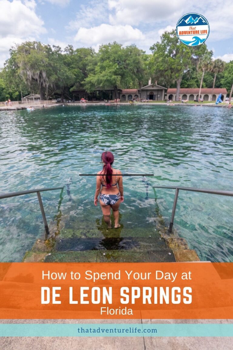 How to Spend Your De Leon Springs State Park| Florida Pin 2