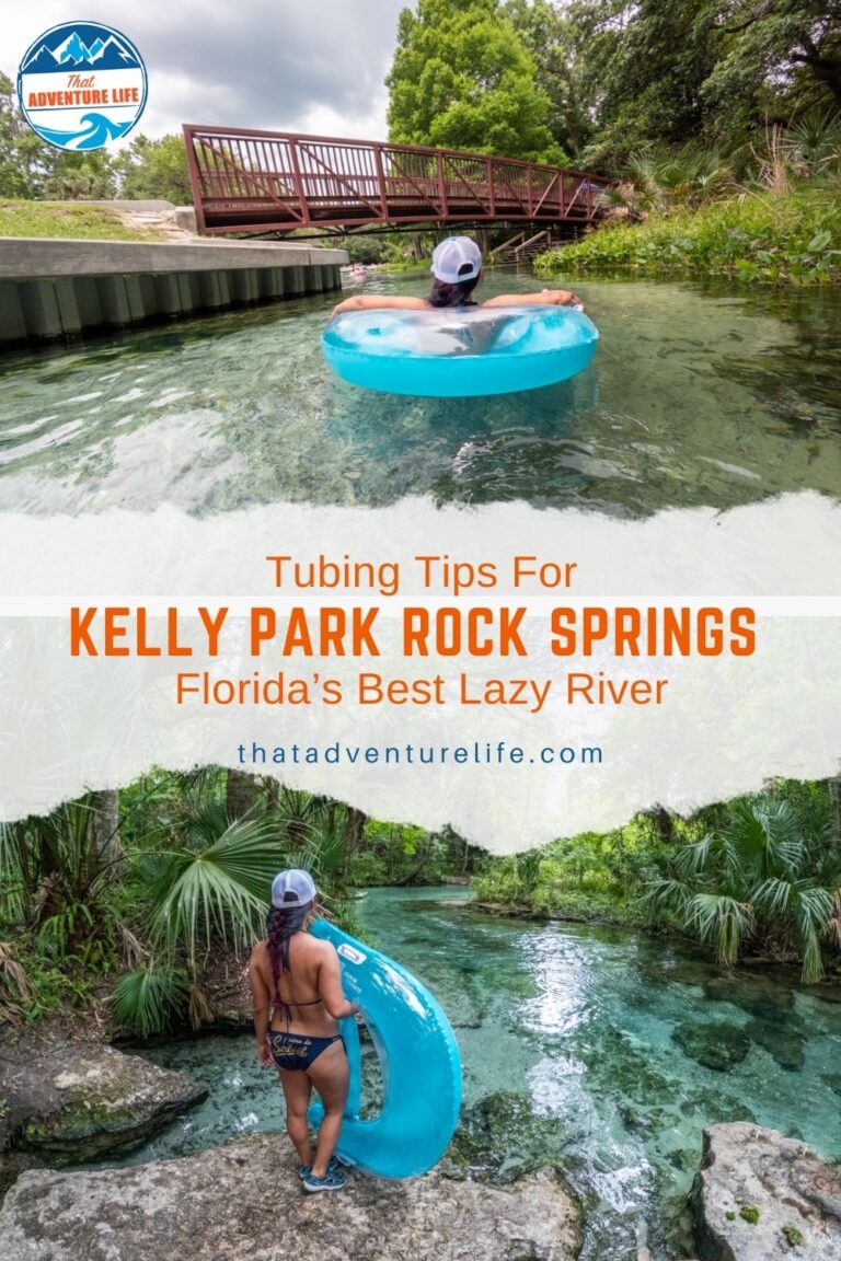 How to Go Tubing at Kelly Park Rock Springs | Florida Pin 1