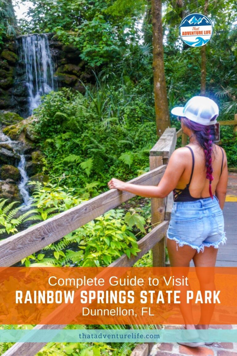 Complete Guide to Visit Rainbow Springs State Park | Dunnellon, FL Pin 1
