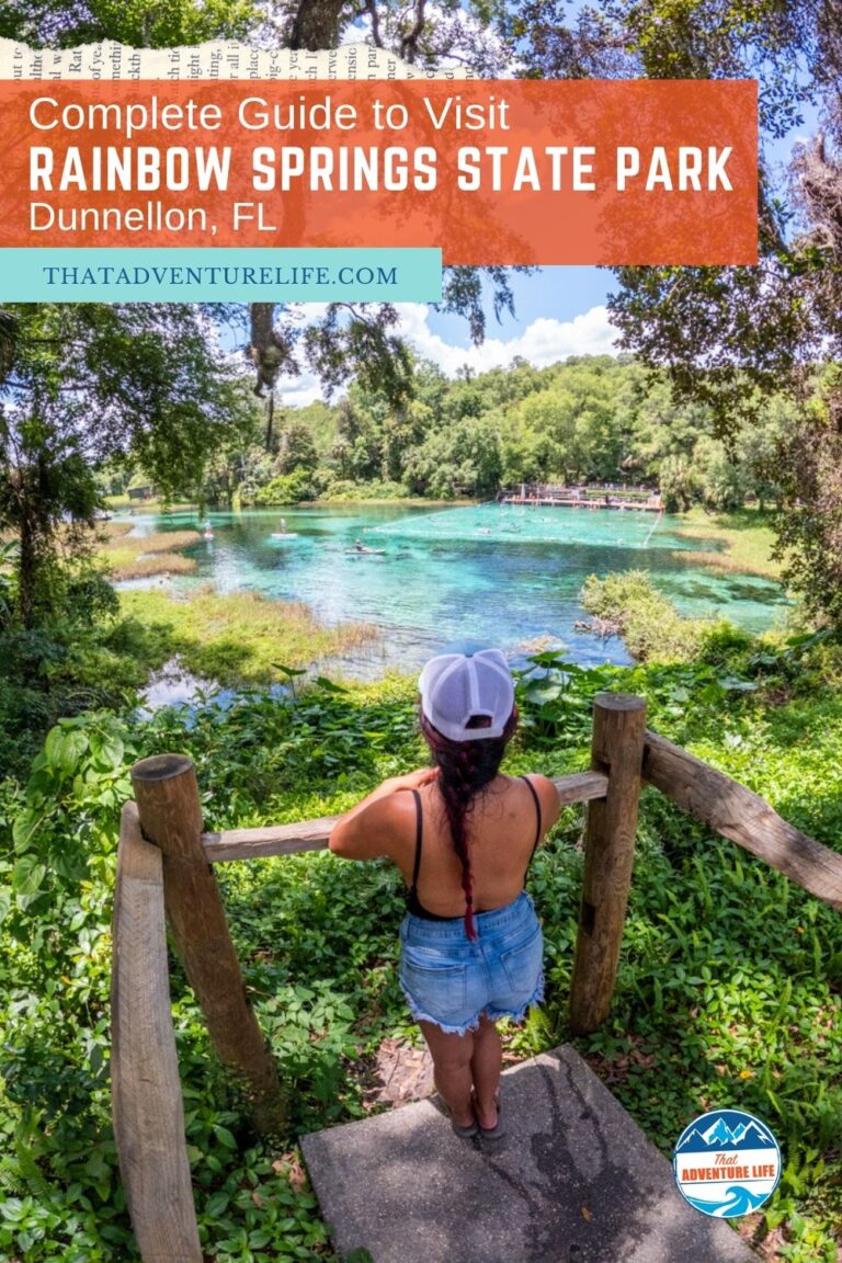Complete Guide to Visit Rainbow Springs State Park | Dunnellon, FL Pin 2