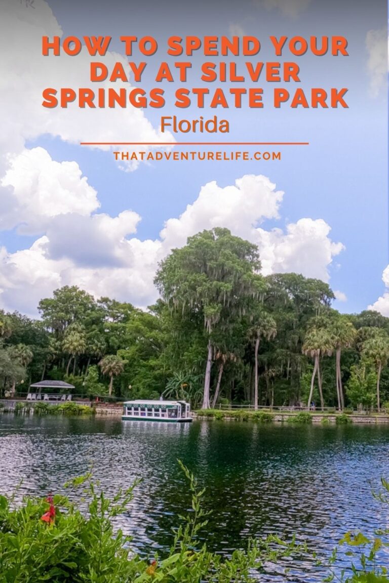 How to Spend Your Day at Silver Springs State Park | Florida pin 1