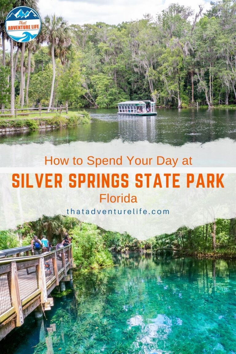 How to Spend Your Day at Silver Springs State Park | Florida Pin 2