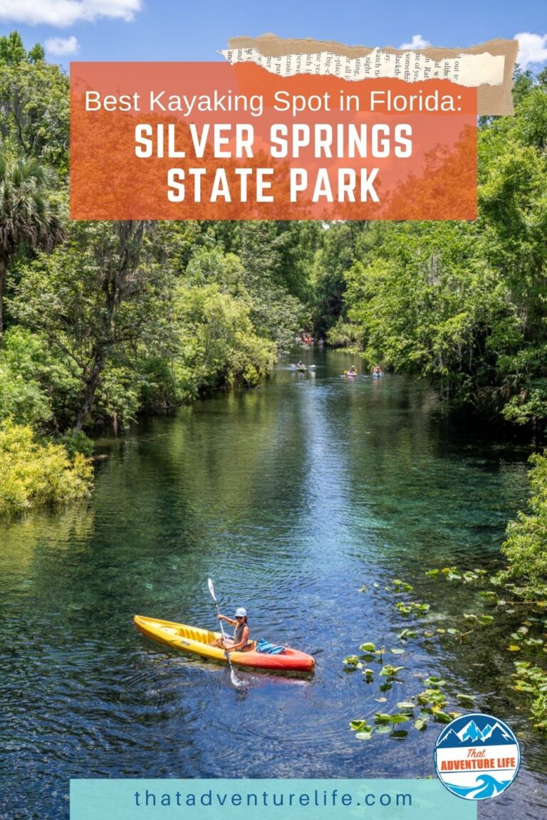 Most Beautiful Kayaking Spot in Florida: Silver Springs State Park Pin 1