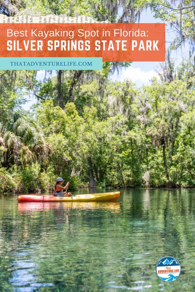 Most Beautiful Kayaking Spot in Florida: Silver Springs State Park Pin 2