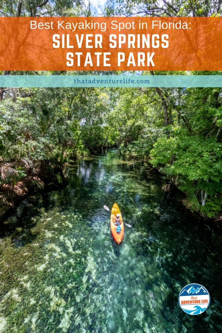 Most Beautiful Kayaking Spot in Florida: Silver Springs State Park Pin 3
