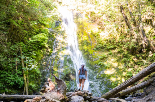 Madison Falls, the Most Accessible Waterfalls in Olympic National Park