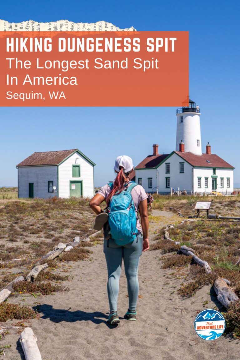 Dungeness Spit Trail, the longest sand spit in North America | Olympic Peninsula, WA Pin 3