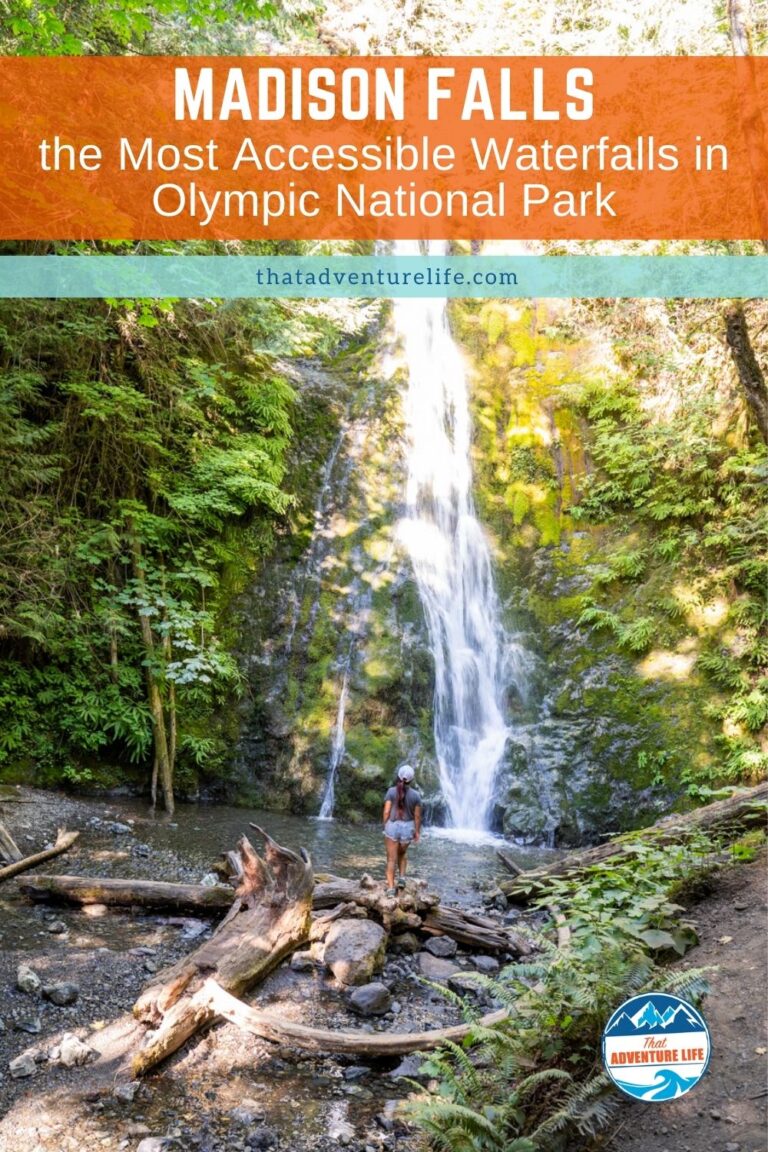 Madison Falls, the Most Accessible Waterfalls in Olympic National Park Pin 2