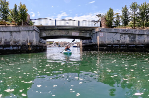 Newport Bay - One of the Best Kayaking Spots in Newport Beach, CA