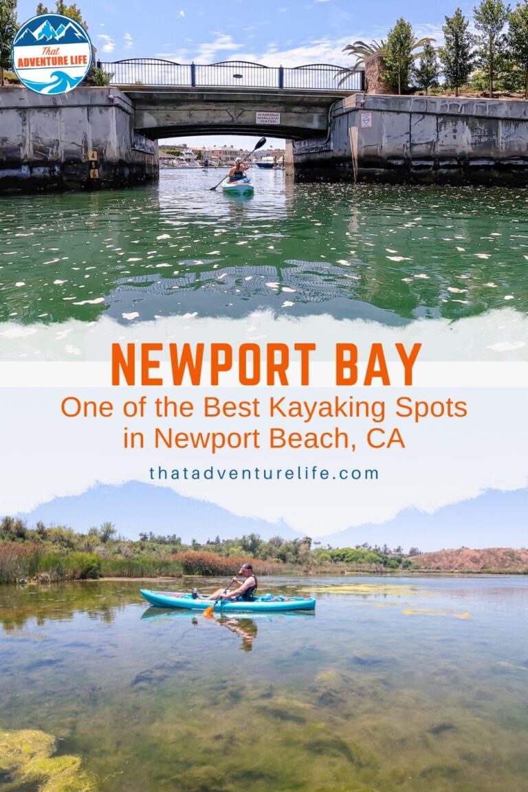 Newport Bay - One of the Best Kayaking Spots in Newport Beach, CA Pin 1