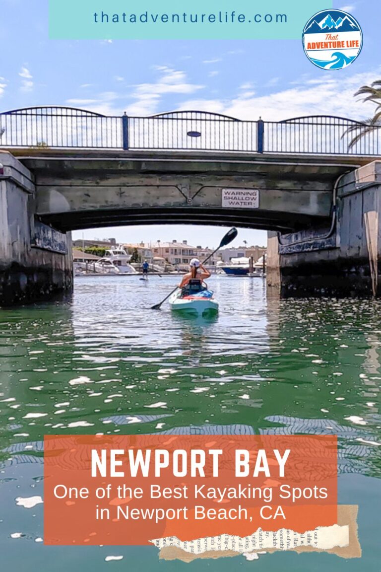 Newport Bay - One of the Best Kayaking Spots in Newport Beach, CA Pin 2