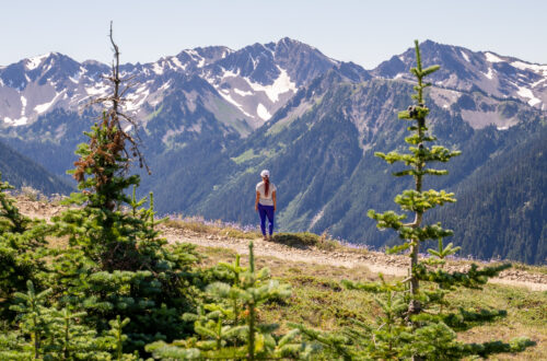 8 Things to Do in Northern Olympic National Park | Washington
