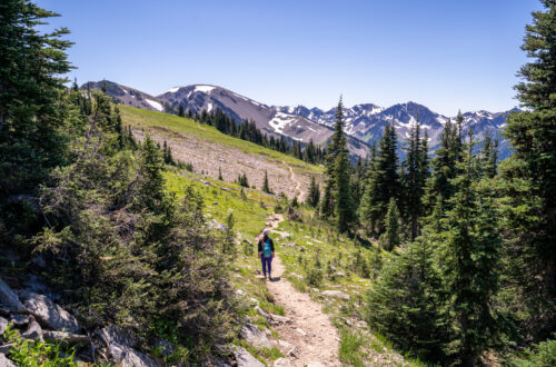 Hiking Badger Valley to Grand Lake Loop Trail | Olympic NP, WA