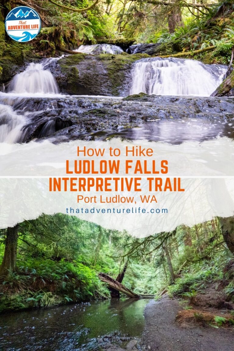 How to Hike Ludlow Falls Interpretive Trail in Port Ludlow, WA Pin 2