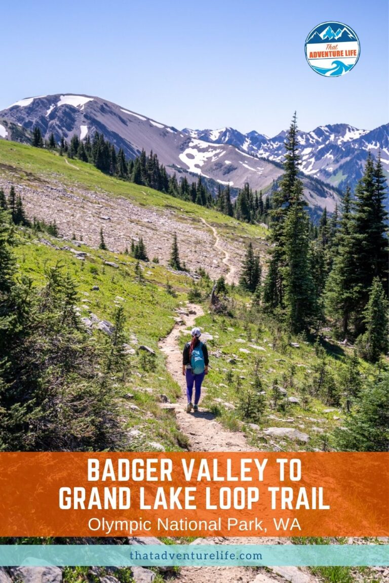 Hiking Badger Valley to Grand Lake Loop Trail | Olympic NP, WA Pin 3