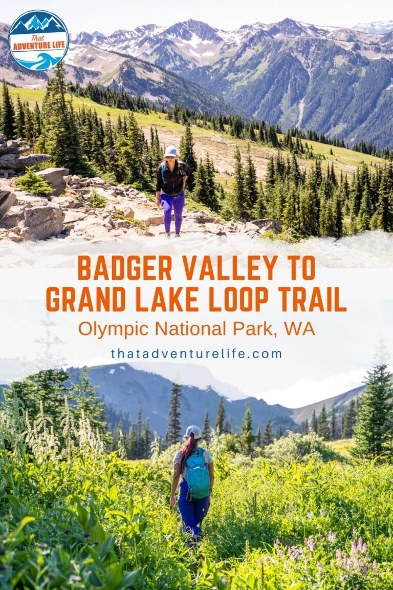 Hiking Badger Valley to Grand Lake Loop Trail | Olympic NP, WA Pin 2