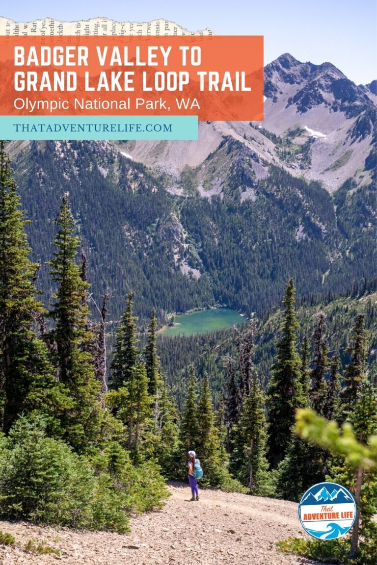 Hiking Badger Valley to Grand Lake Loop Trail | Olympic NP, WA Pin 1