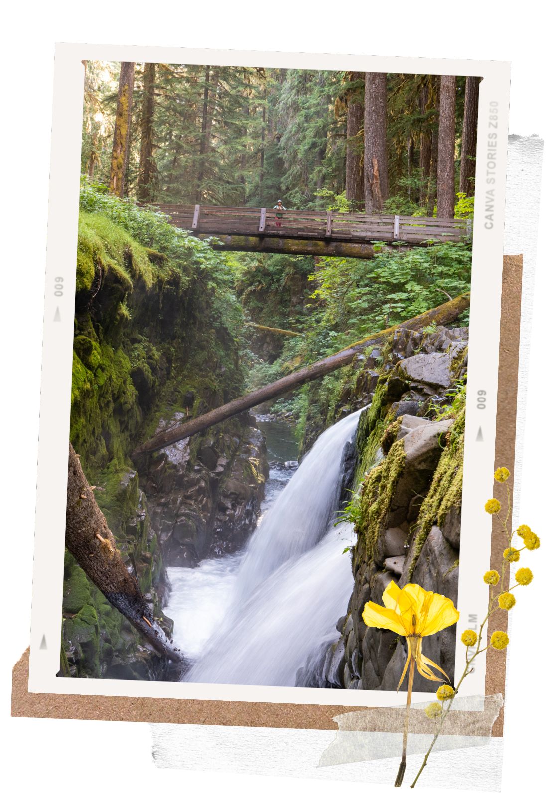 Sol Duc Falls - 8 Amazing Places in Northern Olympic National Park | Washington