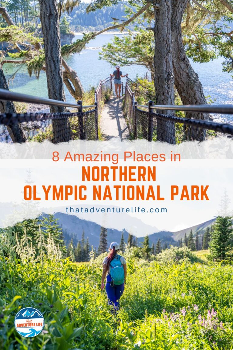 8 Amazing Places in Northern Olympic National Park | Washington Pin 1