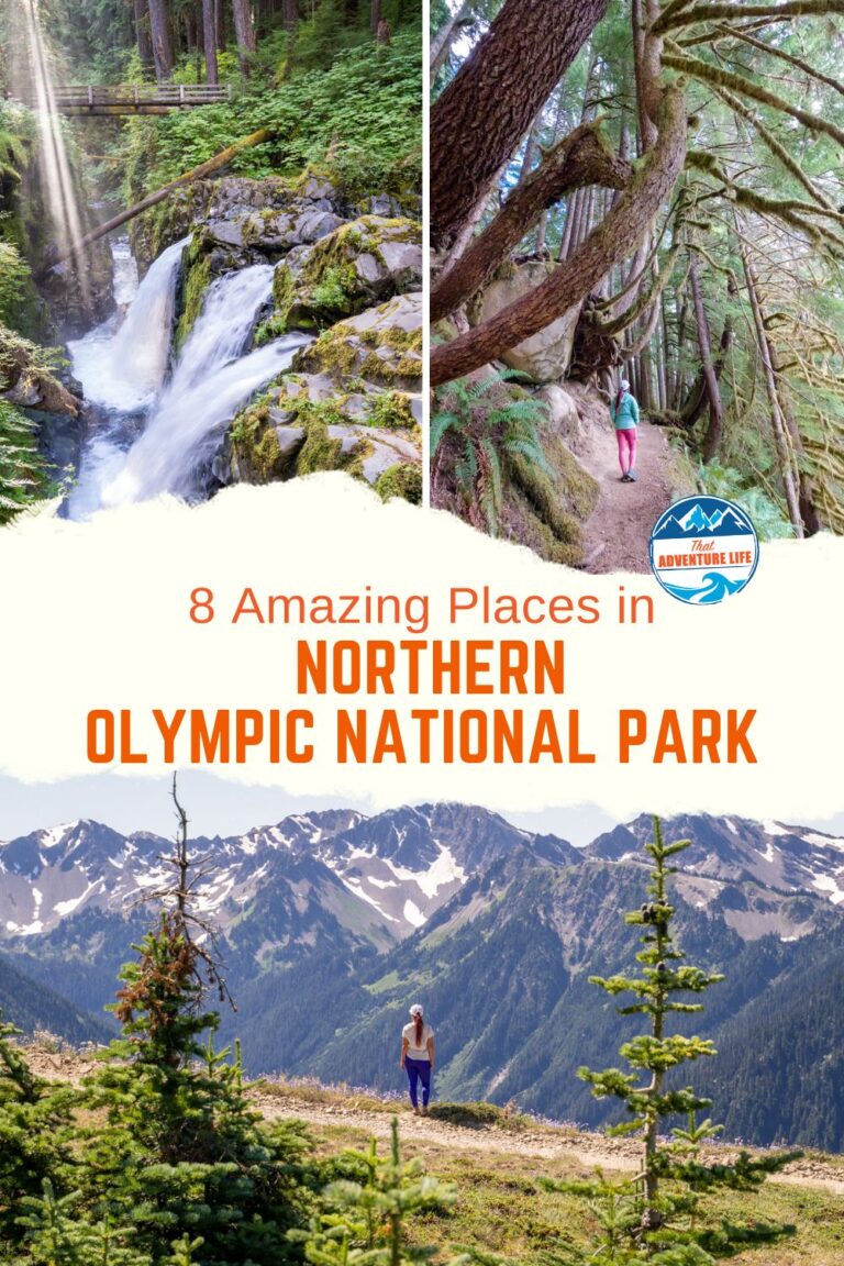 8 Amazing Places in Northern Olympic National Park | Washington Pin 2