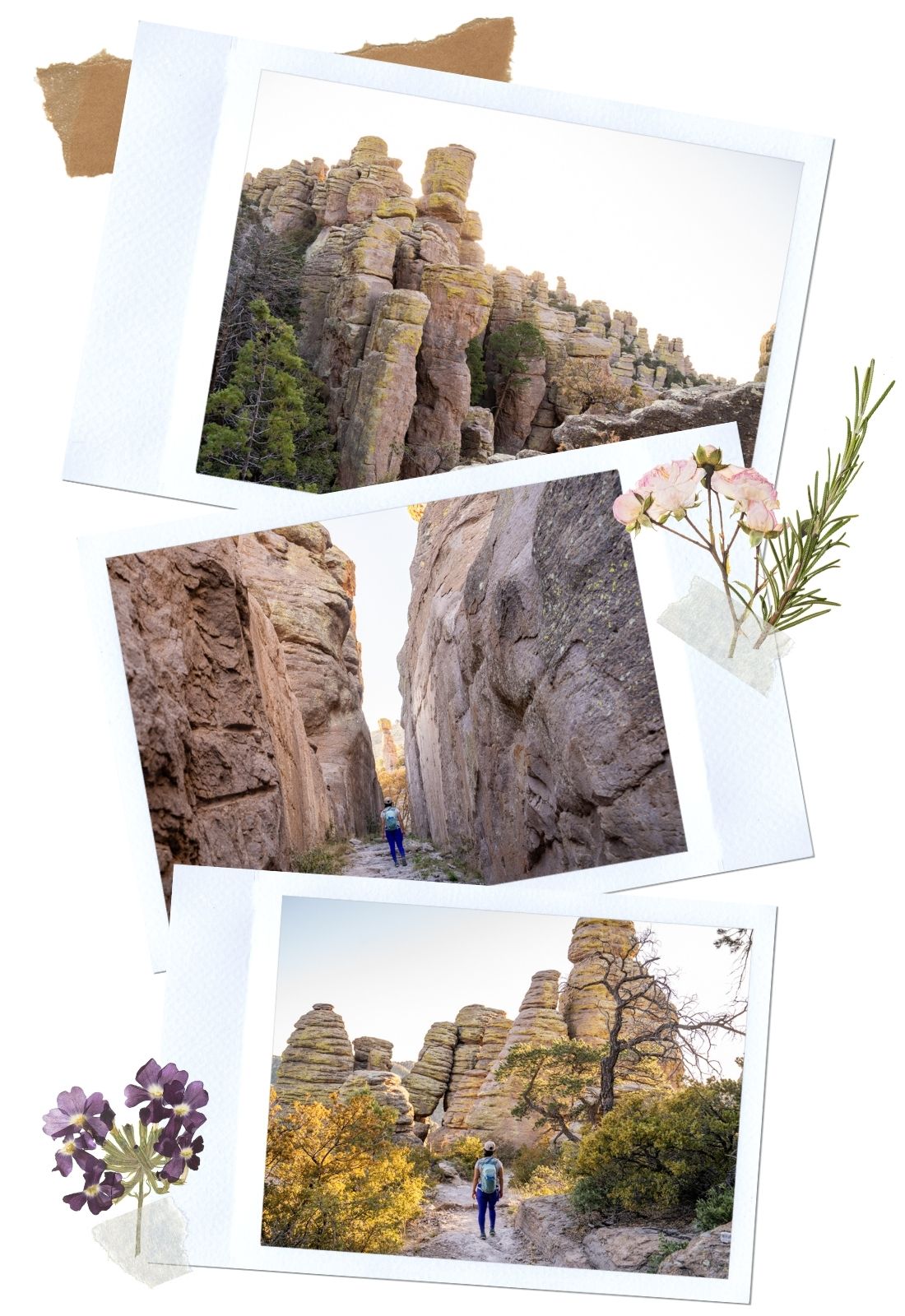 Chiricahua National Monument Things to Do: Hiking Big Loop