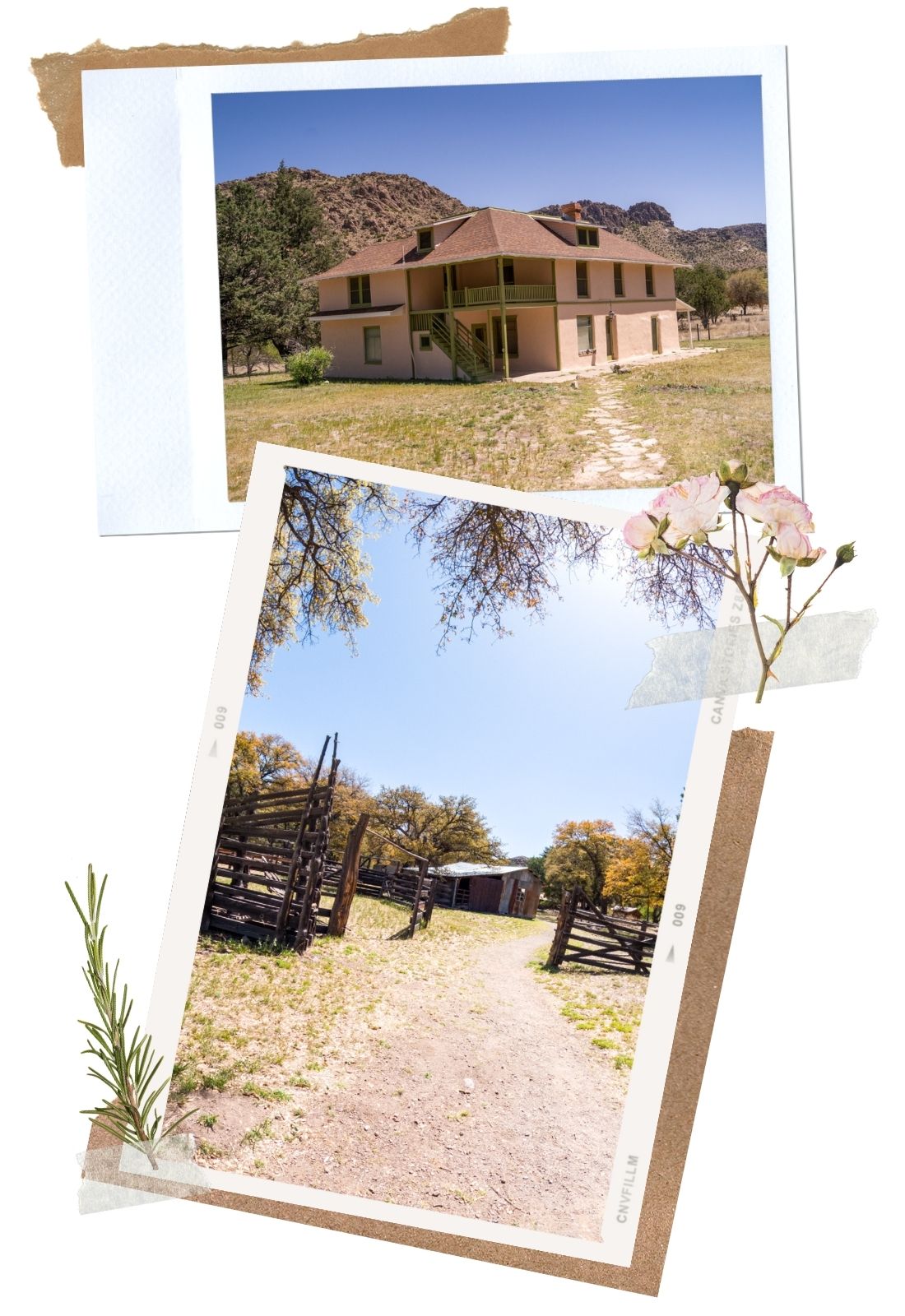 Chiricahua National Monument Things to Do: Faraway Ranch