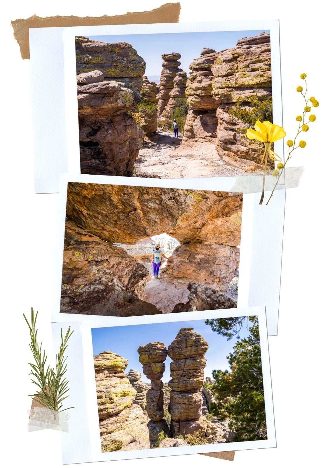 Chiricahua National Monument Things to Do: Hiking Heart of Rocks