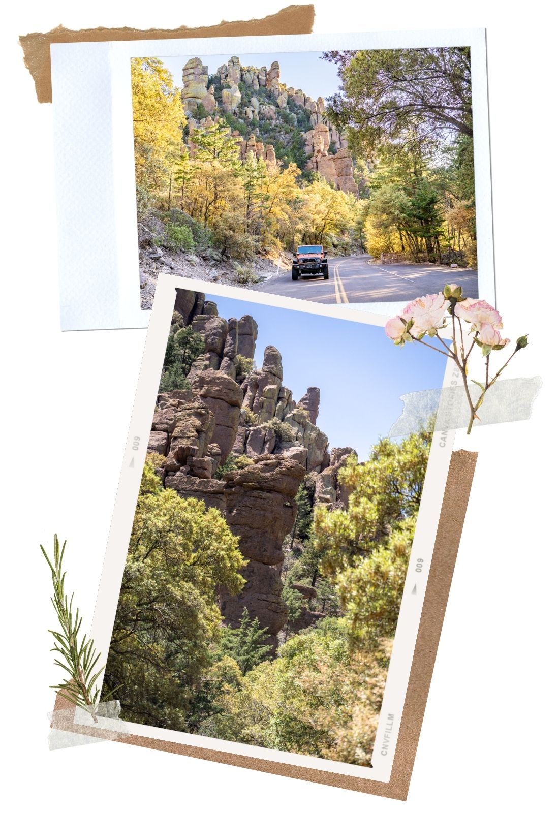 Chiricahua National Monument Things to Do: Scenic Drive