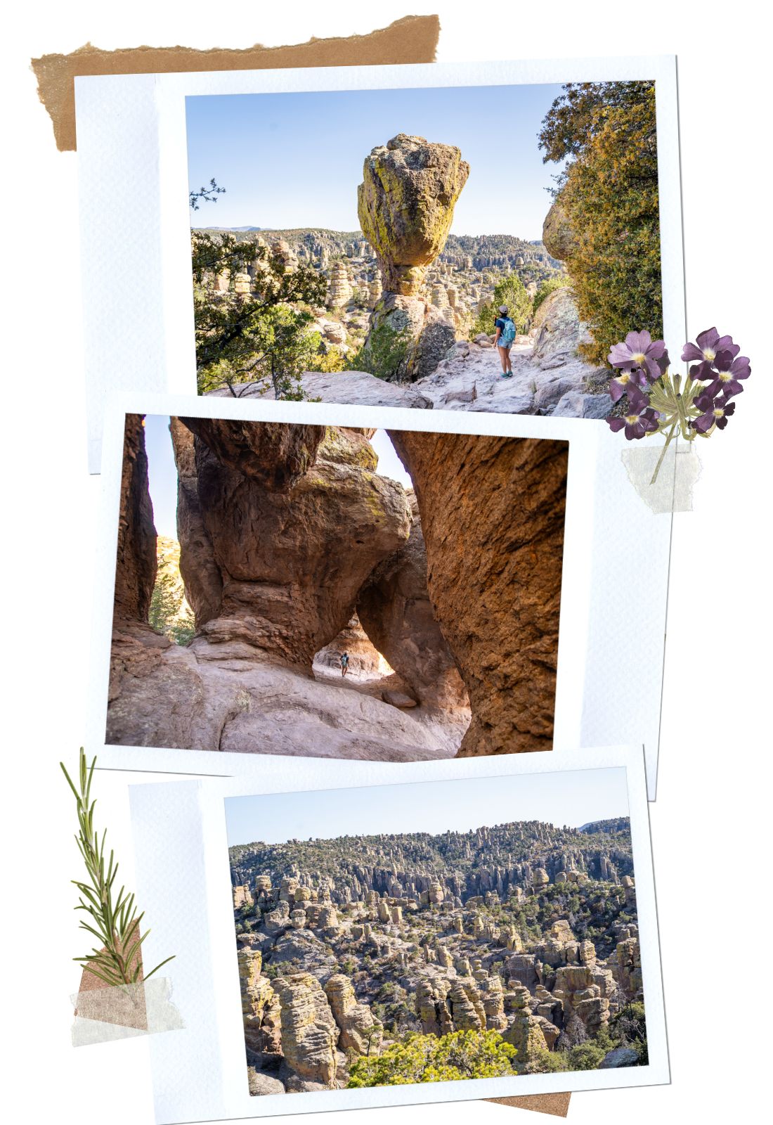 Echo Canyon - Complete Guide for the Scenic Drive in Chiricahua National Monument