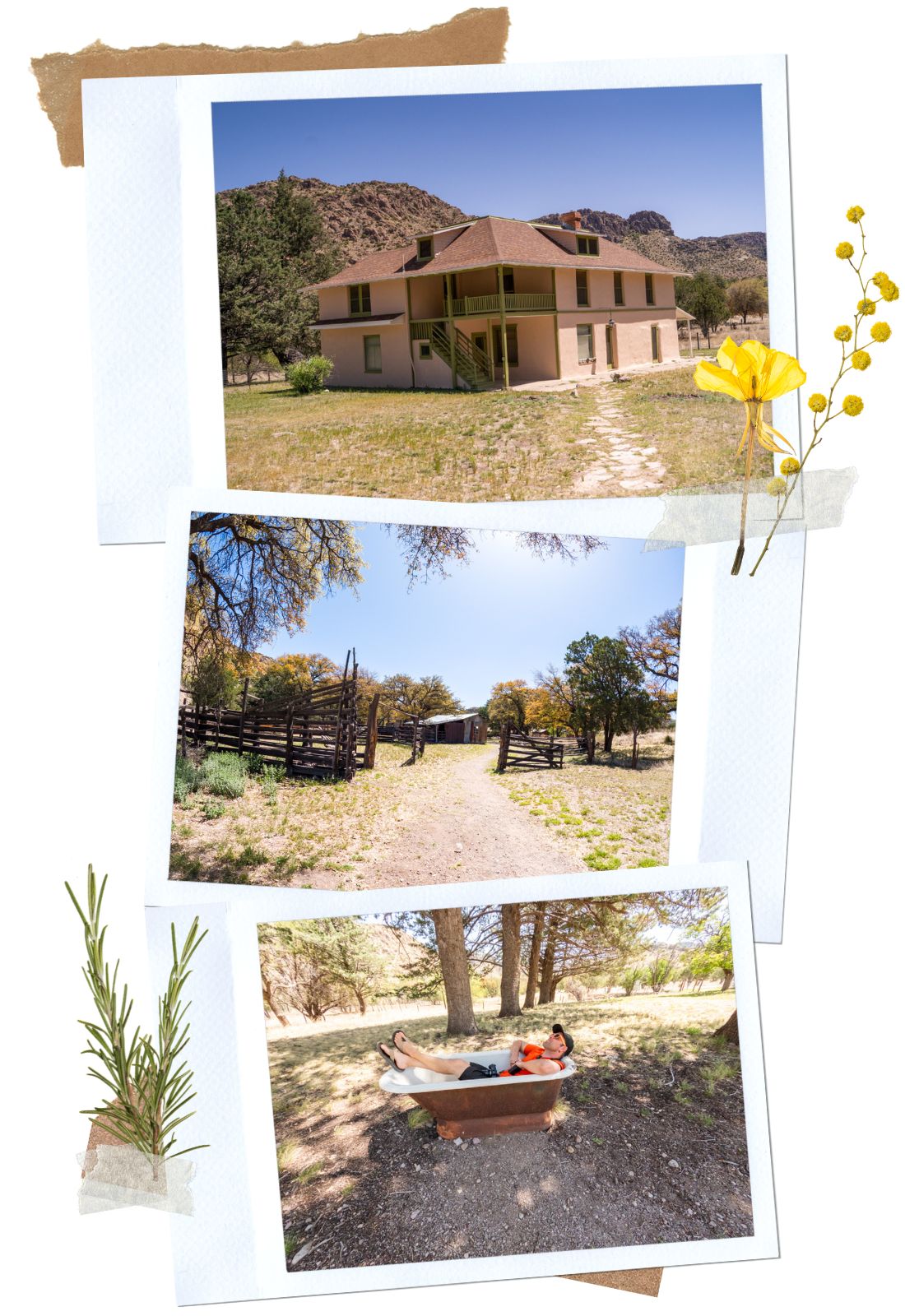 Faraway Ranch - Complete Guide for the Scenic Drive in Chiricahua National Monument