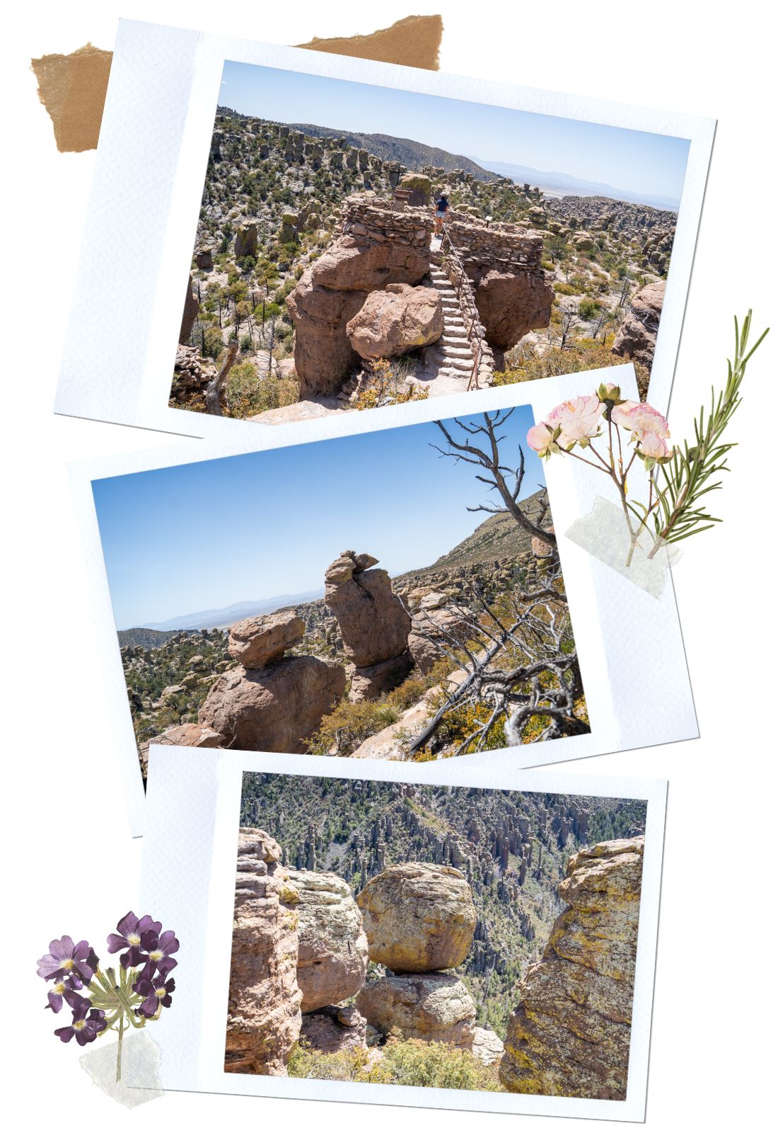 Massai Point - Complete Guide for the Scenic Drive in Chiricahua National Monument