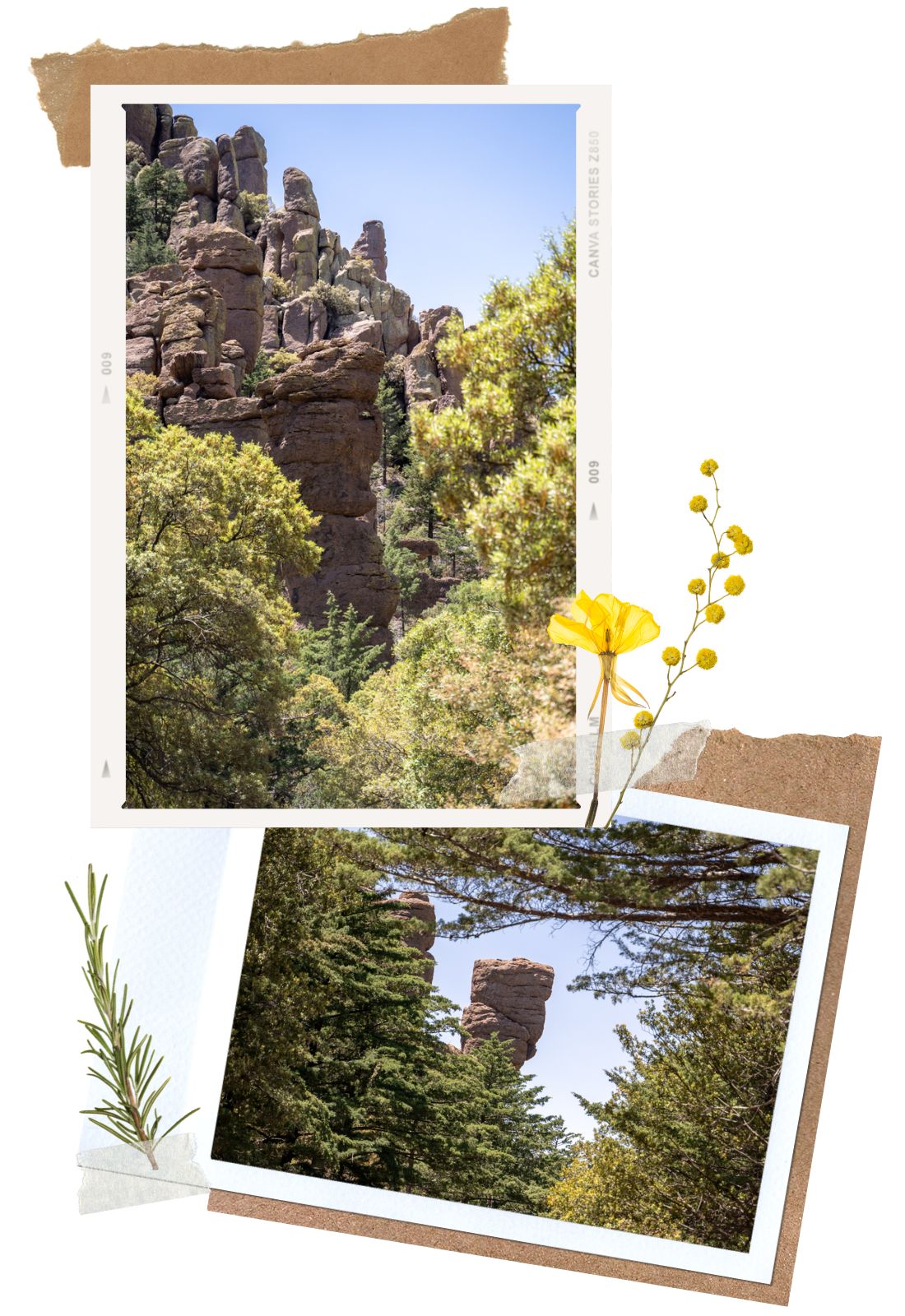 Sea Captain and China Boy Rock Formations - Complete Guide for the Scenic Drive in Chiricahua National Monument