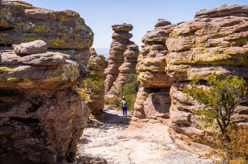 Chiricahua National Monument: How to Spend Your First Visit!