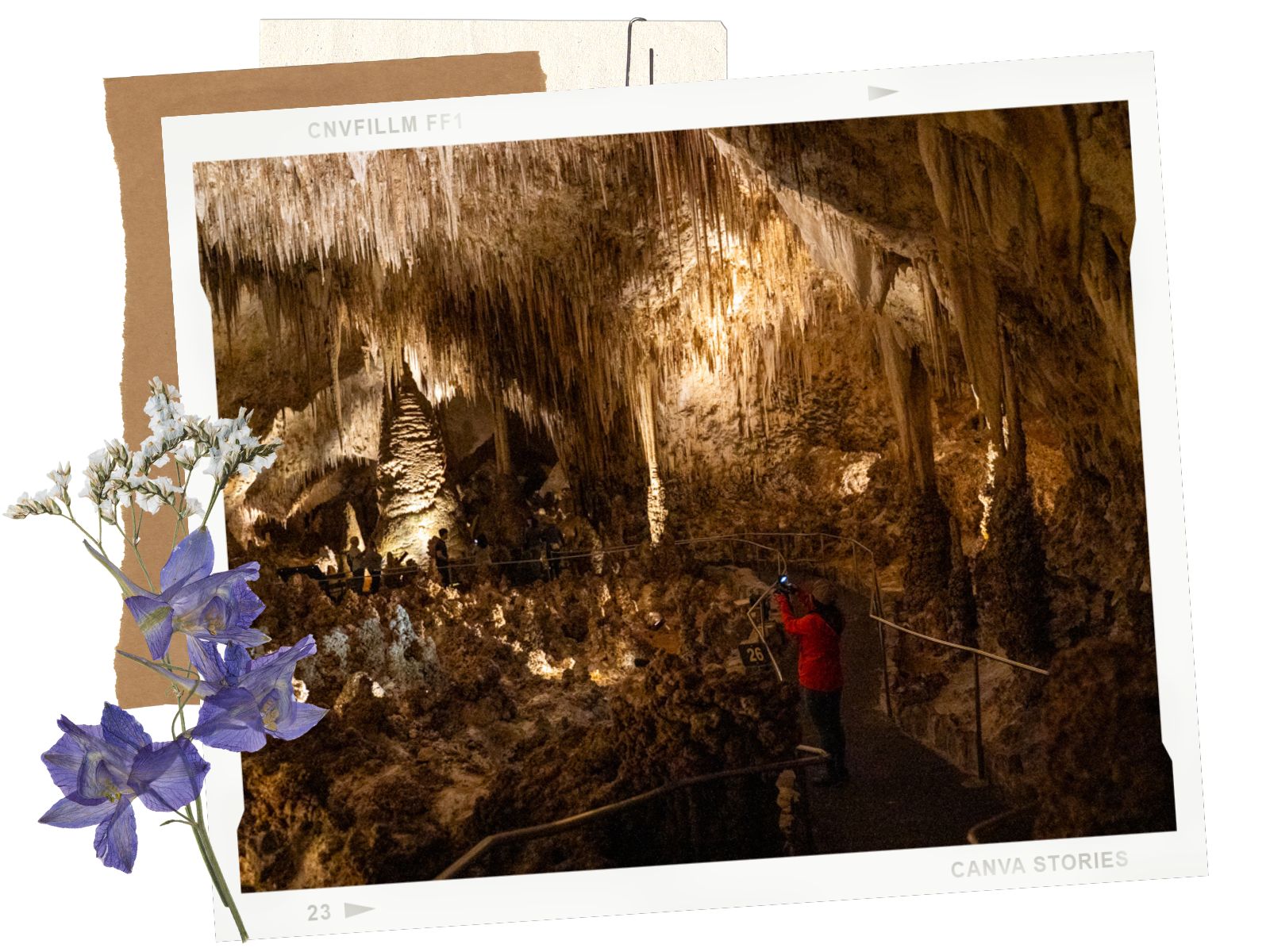 Carlsbad Caverns Big Room: Everything You Need to Know - How Big is the Carlsbad Caverns