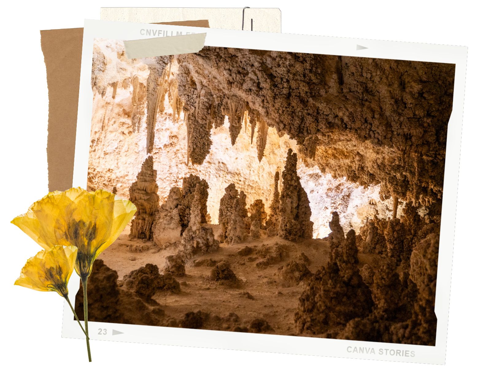 Carlsbad Caverns Big Room: Everything You Need to Know - Important Info