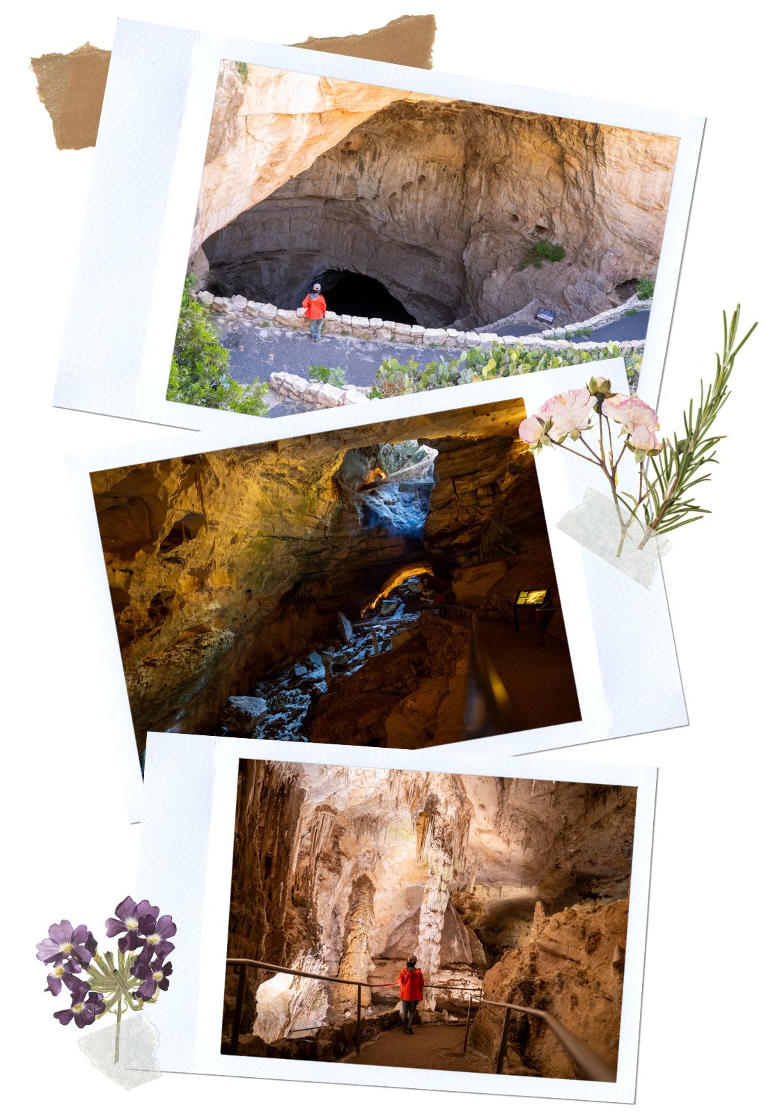 Carlsbad Caverns Big Room: Everything You Need to Know - Natural Entrance 1