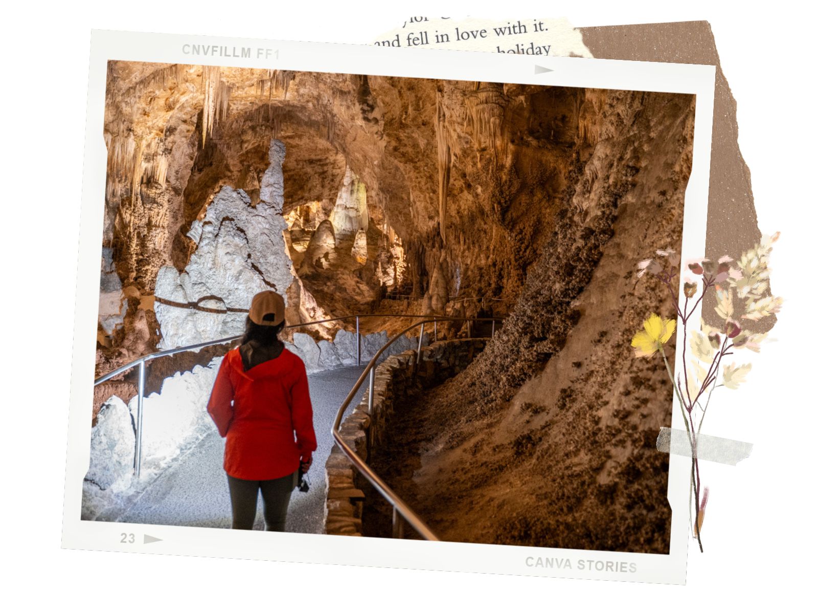 Carlsbad Caverns Big Room: Everything You Need to Know - Pet Allowed