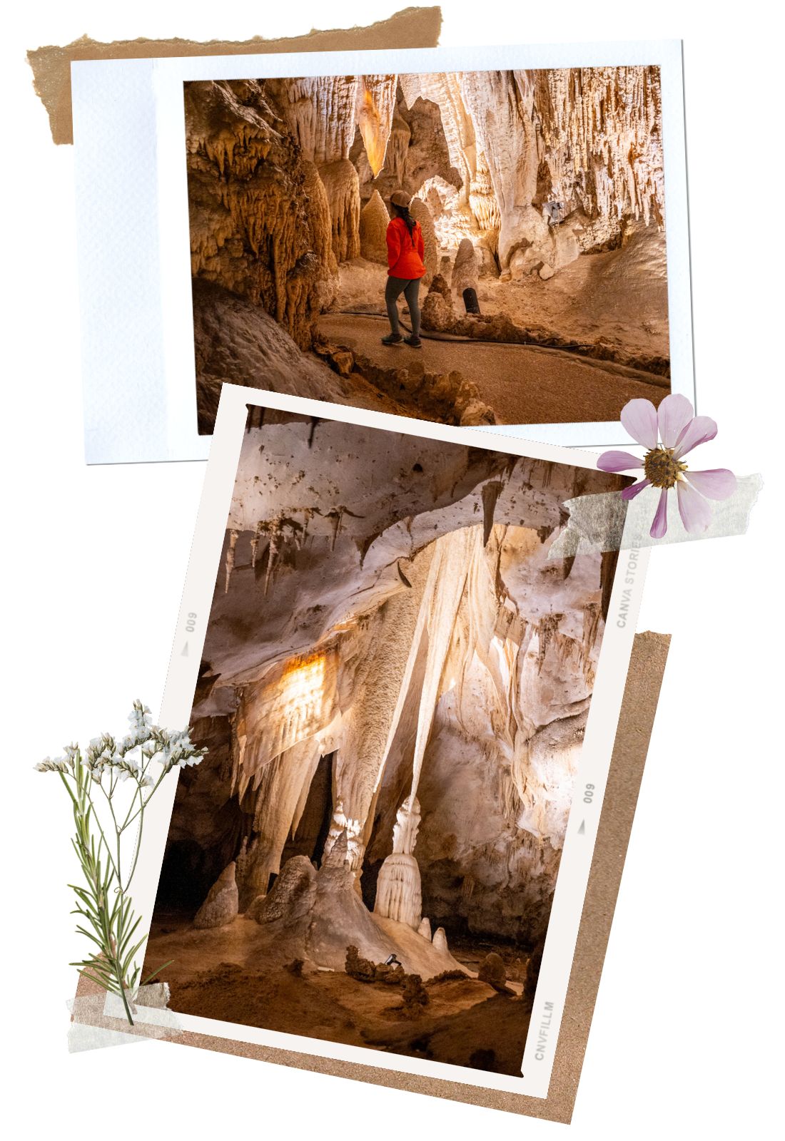 Carlsbad Caverns King's Palace Tour - The Adventure 3