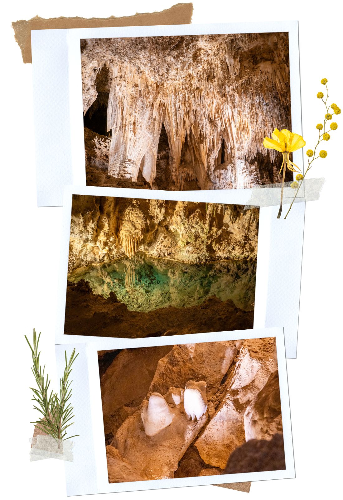 Carlsbad Caverns King's Palace Tour - The Adventure 4
