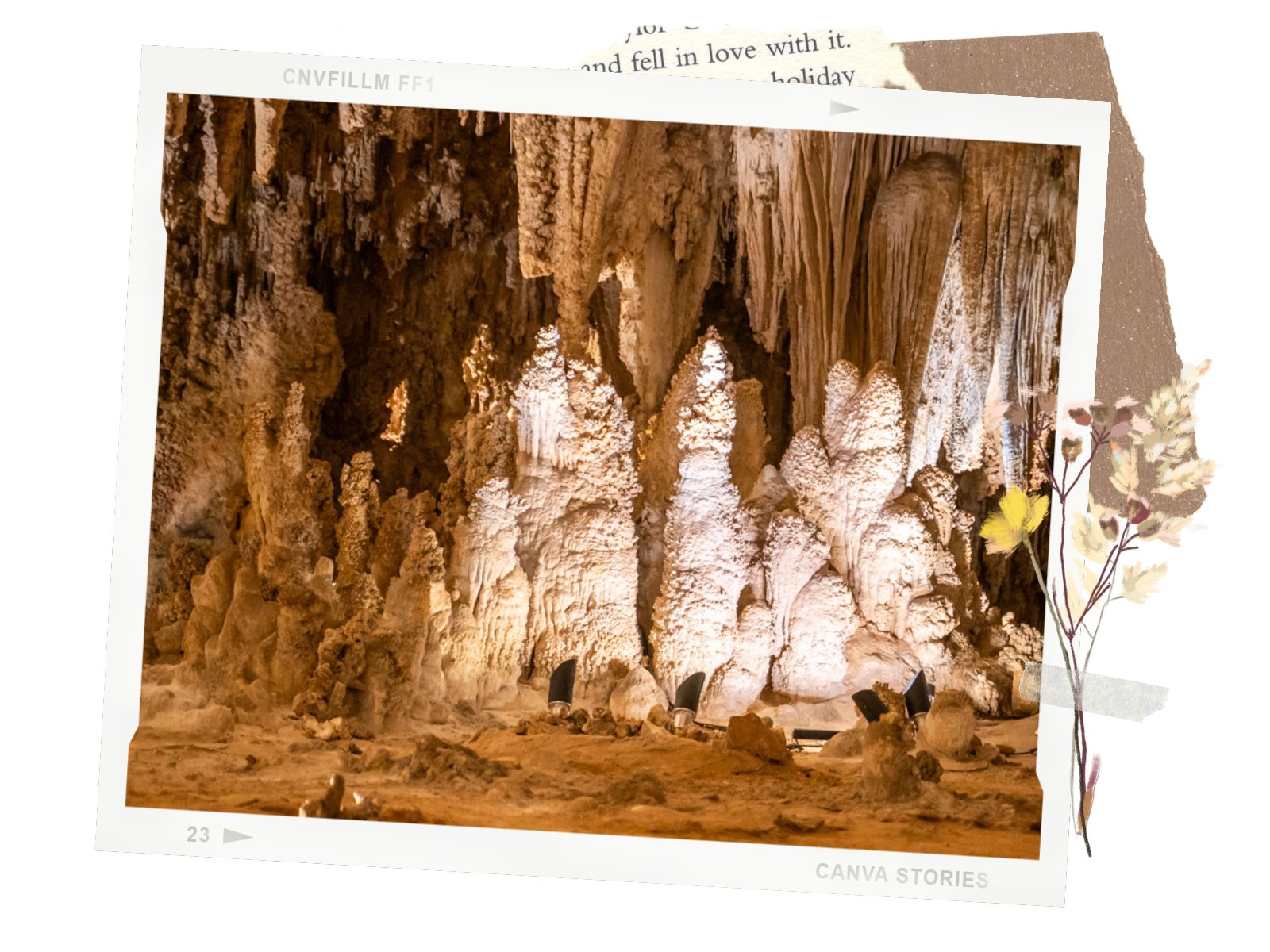 Carlsbad Caverns King's Palace Tour - How Much