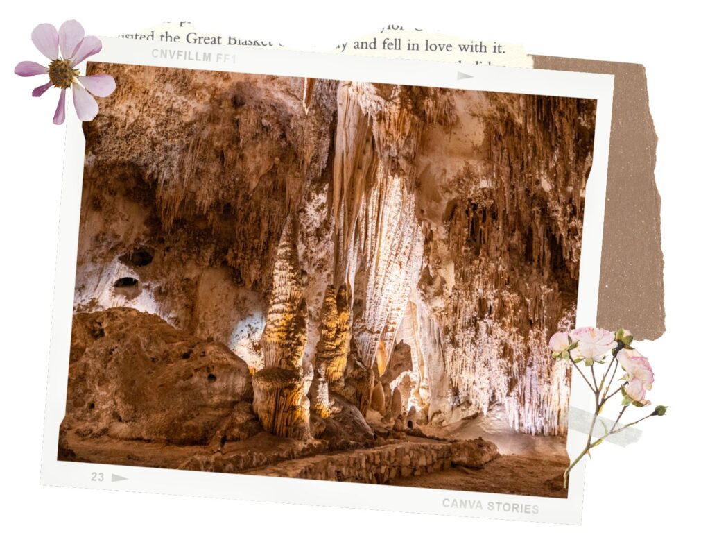 Carlsbad Caverns King's Palace Tour - Other Info