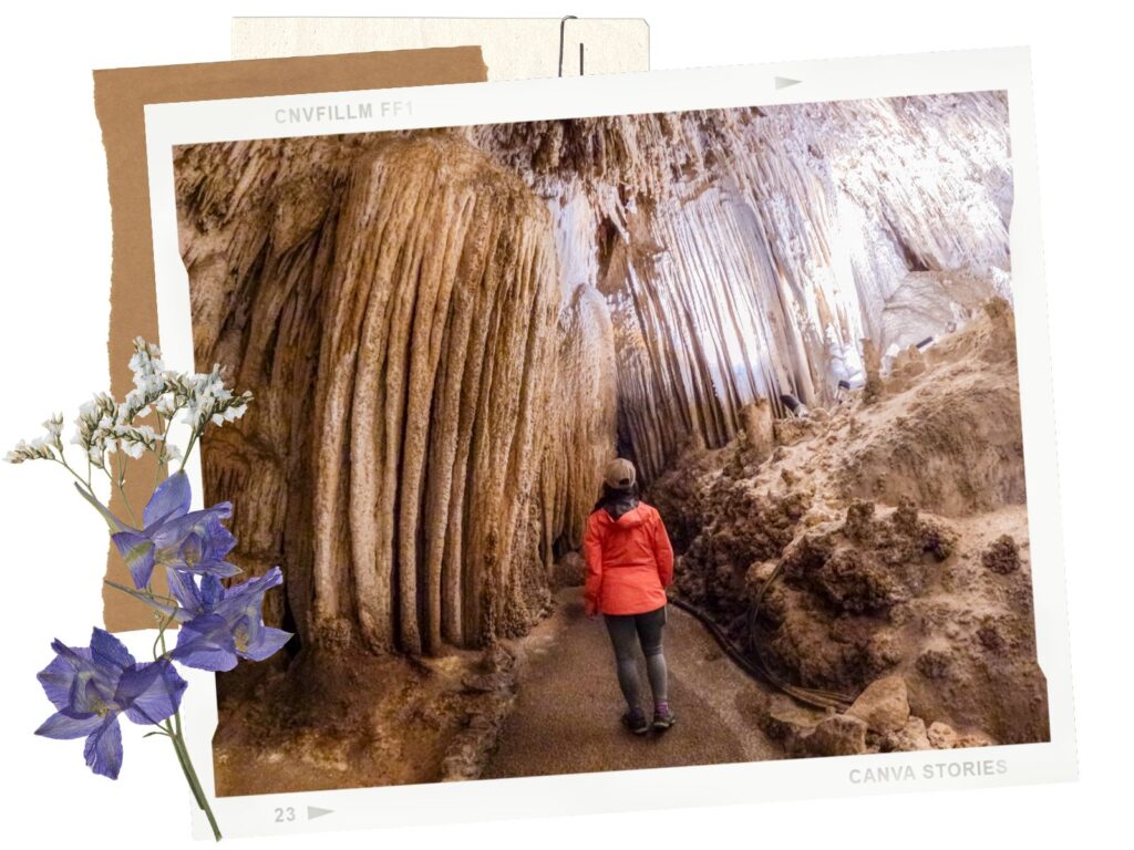 Carlsbad Caverns King's Palace Tour - Ticket
