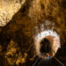 Carlsbad Caverns Big Room: Everything You Need to Know